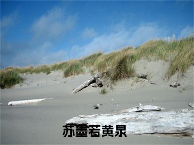 苏墨若黄泉小说小说全集免费阅读 苏墨若黄泉章节目录