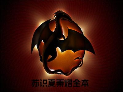 苏识夏秦熠全文免费阅读大结局-苏识夏秦熠小说最新章节阅读
