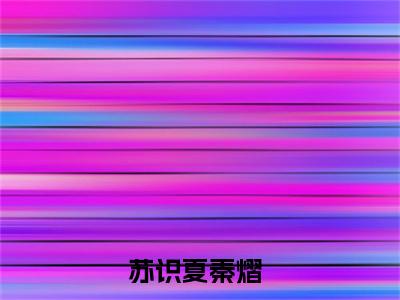 苏识夏秦熠在线阅读小说推荐-苏识夏秦熠免费阅读全文