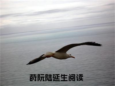 莳阮陆延生（莳阮陆延生）全文免费阅读无弹窗_莳阮陆延生小说免费阅读_笔趣阁