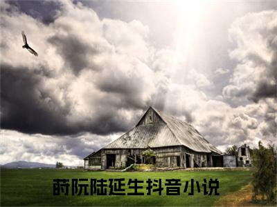 莳阮陆延生（莳阮陆延生）小说全文免费阅读无弹窗大结局_莳阮陆延生最新章节列表笔趣阁（莳阮陆延生）