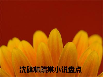 沈肆林疏棠小说全文免费阅读(枕上摇曳)全文免费阅读无弹窗大结局_ 枕上摇曳最新章节列表_笔趣阁（沈肆林疏棠小说）