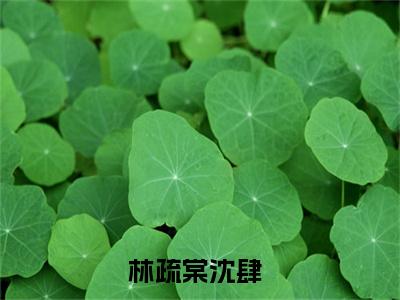 枕上摇曳是什么小说-林疏棠沈肆全文免费阅读无弹窗大结局（枕上摇曳）最新章节阅读