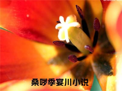 桑哕季宴川小说叫什么-桑哕季宴川全文阅读