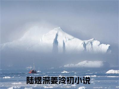 陆煜深姜泠初小说全文-陆煜深姜泠初最新章节免费阅读陆煜深姜泠初小说
