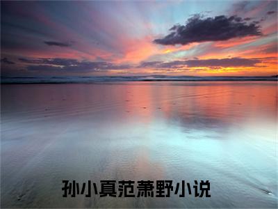 孙小真范萧野全文免费阅读无弹窗(小说全文免费阅读)孙小真范萧野最新章节列表_笔趣阁