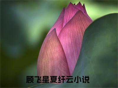 顾飞星夏纤云小说（顾飞星夏纤云）全文免费阅读无弹窗大结局_（顾飞星夏纤云）顾飞星夏纤云最新章节列表笔趣阁（顾飞星夏纤云）