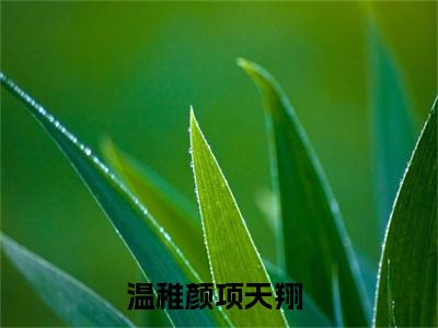 温稚颜项天翔（温稚颜项天翔）小说全文免费阅读-温稚颜项天翔知乎小说