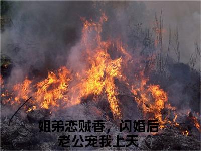 容湛云飒姐弟恋贼香，闪婚后老公宠我上天完整全文在线阅读 容湛云飒全文大结局阅读无弹窗