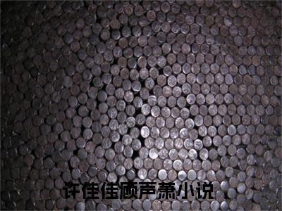 许佳佳顾声萧全网首发最新小说主角许佳佳顾声萧全文在线免费阅读