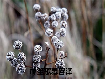 月下长安染秋风全文（林笙歌慕容泽）全文免费阅读无弹窗大结局_林笙歌慕容泽全文最新章节列表_笔趣阁（月下长安染秋风）