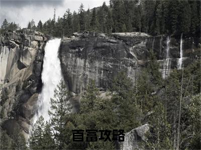 陈阳首富攻略最新章节免费阅读 首富攻略小说最新章节