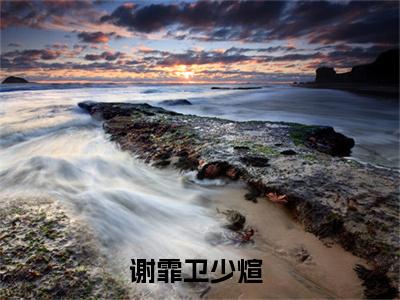 谢霏卫少煊全文免费阅读无弹窗大结局-谢霏卫少煊无弹窗阅读