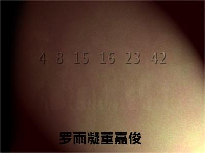 罗雨凝董嘉俊的小说全文免费阅读,小说名字是：罗雨凝董嘉俊的小说全资源免费阅读结局无删节