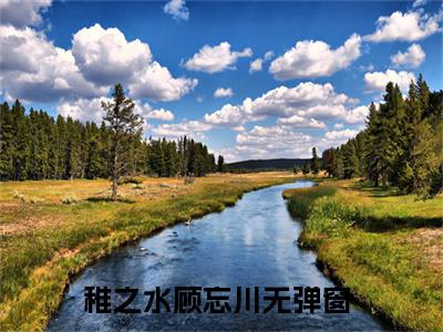 稚之水顾忘川（忘川之水）精彩热门小说_（稚之水顾忘川）忘川之水最新章节列表_笔趣阁