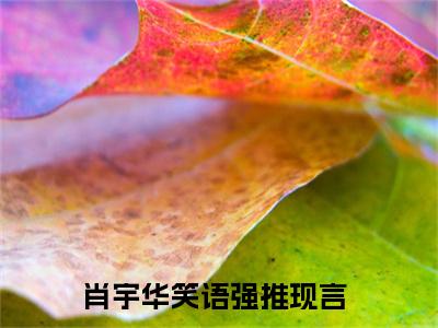 匿迹不周山小说主角叫什么 肖宇华笑语全文免费阅读大结局