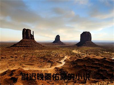 主角是尉迟晚秦佑霖的小说叫什么名字-尉迟晚秦佑霖小说全文免费阅读
