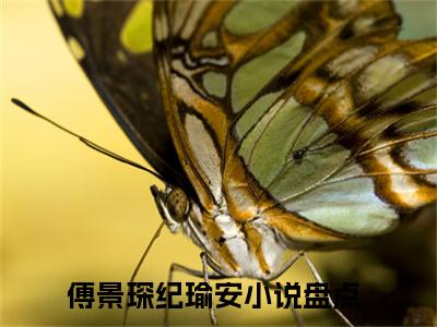 傅景琛纪瑜安是啥小说 傅景琛纪瑜安免费阅读无广告