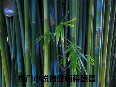 褚皎梅蒋彦昌小说美文赏析-褚皎梅蒋彦昌全文免费大结局