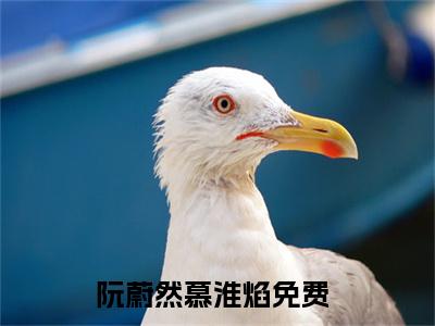阮蔚然慕淮焰（阮蔚然慕淮焰免费阅读无弹窗）-阮蔚然慕淮焰最新章节列表阮蔚然慕淮焰全文无删减版