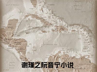 谢瑾之阮音宁最新免费小说全文在线阅读无弹窗大结局_（谢瑾之阮音宁全文在线阅读无弹窗）