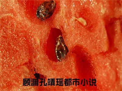 顾渊孔靖瑶（顾渊孔靖瑶）小说全文免费阅读无弹窗_（顾渊孔靖瑶）小说全文免费阅读_最新章节列表_笔趣阁