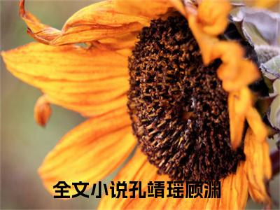 孔靖瑶顾渊(孔靖瑶顾渊)全文免费阅读无弹窗大结局_孔靖瑶顾渊小说免费阅读全文大结局最新章节列表_笔趣阁