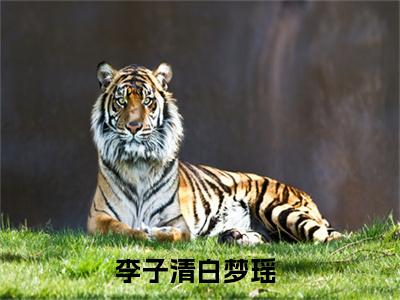 【新书】舔狗重生，校花速退！全文全章节免费阅读-李子清白梦瑶小说免费阅读无弹窗最新章节列表