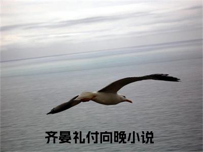 齐晏礼付向晚是什么小说-齐晏礼付向晚无弹窗免费阅读大结局最新章节列表_笔趣阁