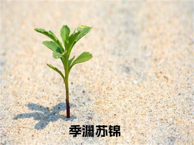 季渊苏锦（季渊苏锦全集无弹窗阅读）季渊苏锦已完结小说全集完整版大结局笔趣阁（季渊苏锦）最新章节列表_笔趣阁