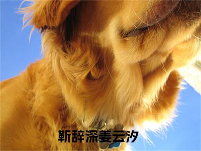 靳辞深姜云汐小说大结局免费阅读-（靳辞深姜云汐）抖音新上热文分享靳辞深姜云汐