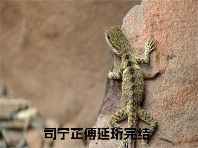 司宁芷傅延珩知乎免费阅读-（司宁芷傅延珩）全文免费阅读无弹窗大结局（司宁芷傅延珩）最新章节列表_笔趣阁