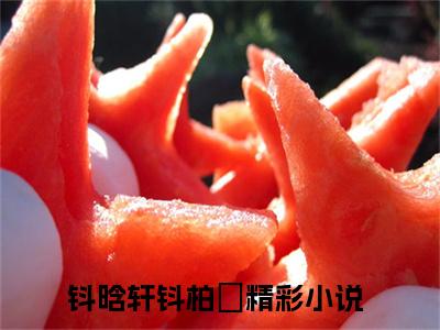 钭晗轩钭柏玥（钭晗轩钭柏玥）全文免费阅读无弹窗大结局-（钭晗轩钭柏玥）钭晗轩钭柏玥全文完结版阅读