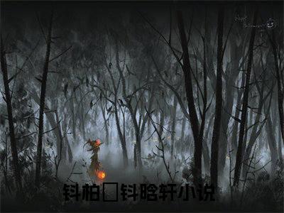 钭柏玥钭晗轩（钭柏玥钭晗轩）全文免费阅读无弹窗大结局_钭柏玥钭晗轩全文免费完结版阅读（钭柏玥钭晗轩）