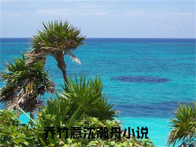 乔竹意沈瀚舟是啥小说 乔竹意沈瀚舟免费阅读无广告