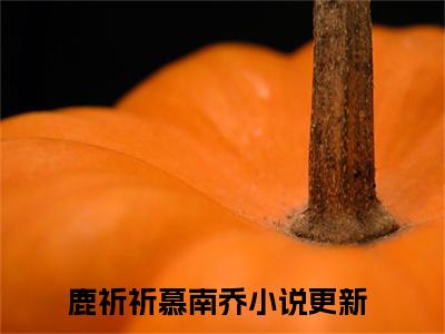 鹿祈祈慕南乔免费阅读无弹窗大结局_(鹿祈祈慕南乔免费阅读)鹿祈祈慕南乔免费阅读无弹窗最新章节列表_笔趣阁