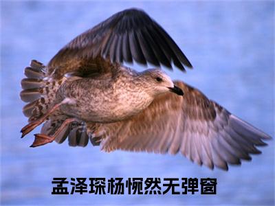 孟泽琛杨惋然(孟泽琛杨惋然)全文免费阅读无弹窗大结局_(孟泽琛杨惋然)孟泽琛杨惋然全文免费完结版阅读(孟泽琛杨惋然)