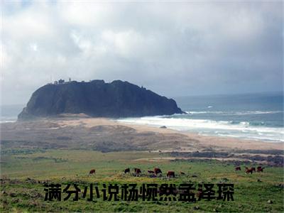 杨惋然孟泽琛（杨惋然孟泽琛）全文免费阅读无弹窗大结局-（杨惋然孟泽琛）无弹窗-笔趣阁