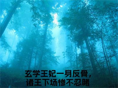 热门小说玄学王妃一身反骨，诸王下场惨不忍睹夏九黎全文免费阅读无弹窗大结局-玄学王妃一身反骨，诸王下场惨不忍睹全文无弹窗免费阅读大结局