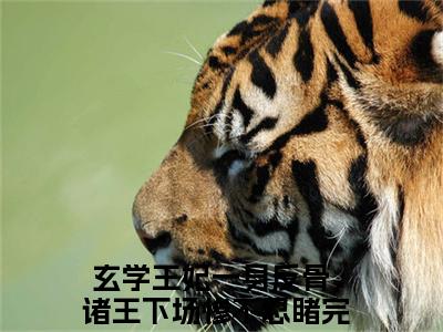 玄学王妃一身反骨，诸王下场惨不忍睹全文免费在线阅读_（玄学王妃一身反骨，诸王下场惨不忍睹免费阅读无弹窗）夏九黎全文免费完结版阅读（玄学王妃一身反骨，诸王下场惨不忍睹）