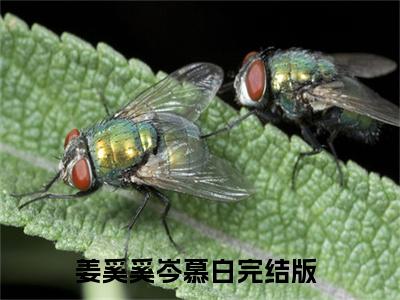 姜奚奚岑慕白全文免费阅读无弹窗大结局_（姜奚奚岑慕白）姜奚奚岑慕白最新章节列表笔趣阁（姜奚奚岑慕白）