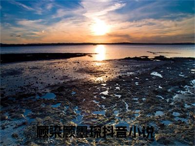 顾染顾墨琛（顾染顾墨琛)全文免费阅读无弹窗大结局_顾染顾墨琛最新章节列表_笔趣阁