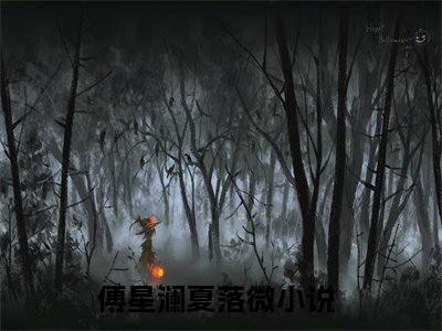 （傅星澜夏落微）是什么小说_主角是（傅星澜夏落微）的小说（傅星澜夏落微）最新章节列表_笔趣阁