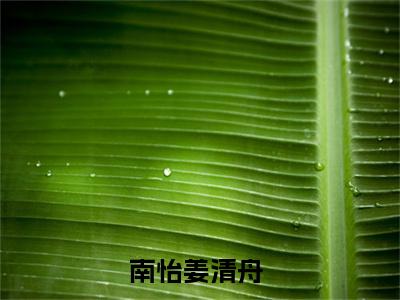 南怡姜清舟免费阅读大结局无弹窗-小说推荐南怡姜清舟精彩章节在线阅读