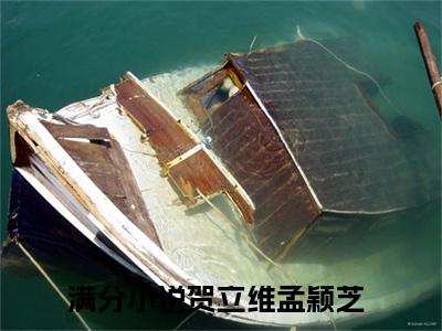 热文（贺立维孟颖芝）美文阅读_热门小说主人公是（贺立维孟颖芝）最新章节限时观看_笔趣阁