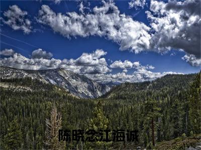 陈晓念江海诚（陈晓念江海诚全文免费）全文免费阅读_（陈晓念江海诚）陈晓念江海诚全文免费阅读无弹窗最新章节列表_笔趣阁（陈晓念江海诚）