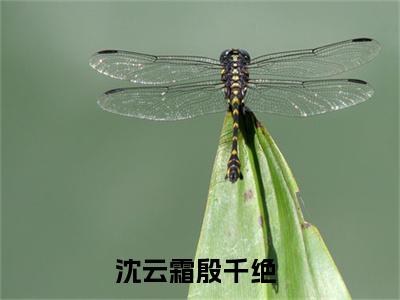 沈云霜殷千绝免费阅读无弹窗（沈云霜殷千绝）全文免费阅读无弹窗大结局_沈云霜殷千绝最新章节列表_笔趣阁（沈云霜殷千绝）