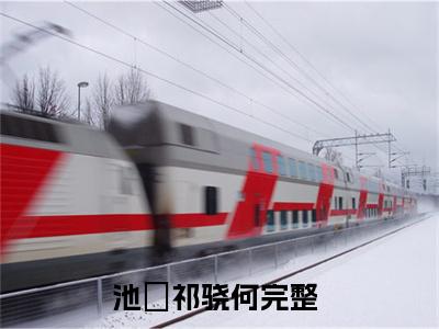 美文池樂祁骁何大结局小说-小说（池樂祁骁何）免费分享