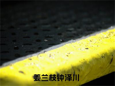 小说完整版姜兰枝钟泽川大结局-姜兰枝钟泽川是什么书《姜兰枝钟泽川》