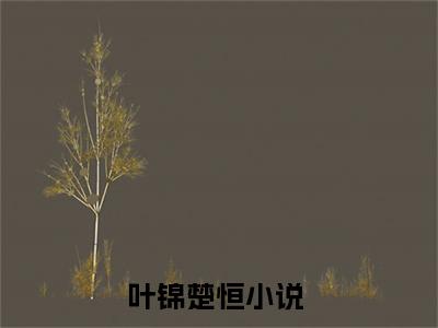 主角为叶锦楚恒的言情小说讲的是什么-（叶锦楚恒）小说在线阅读